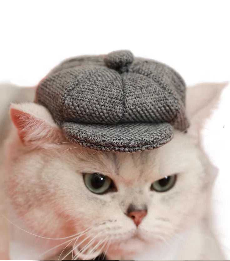 Gentleman Hat Cat Beret