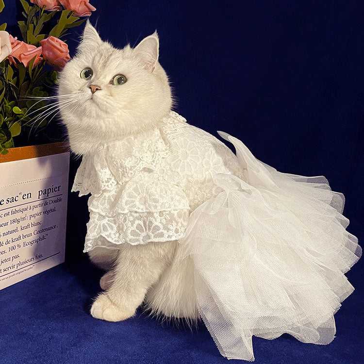 White Embroidered Princess-style Wedding Cat Dress