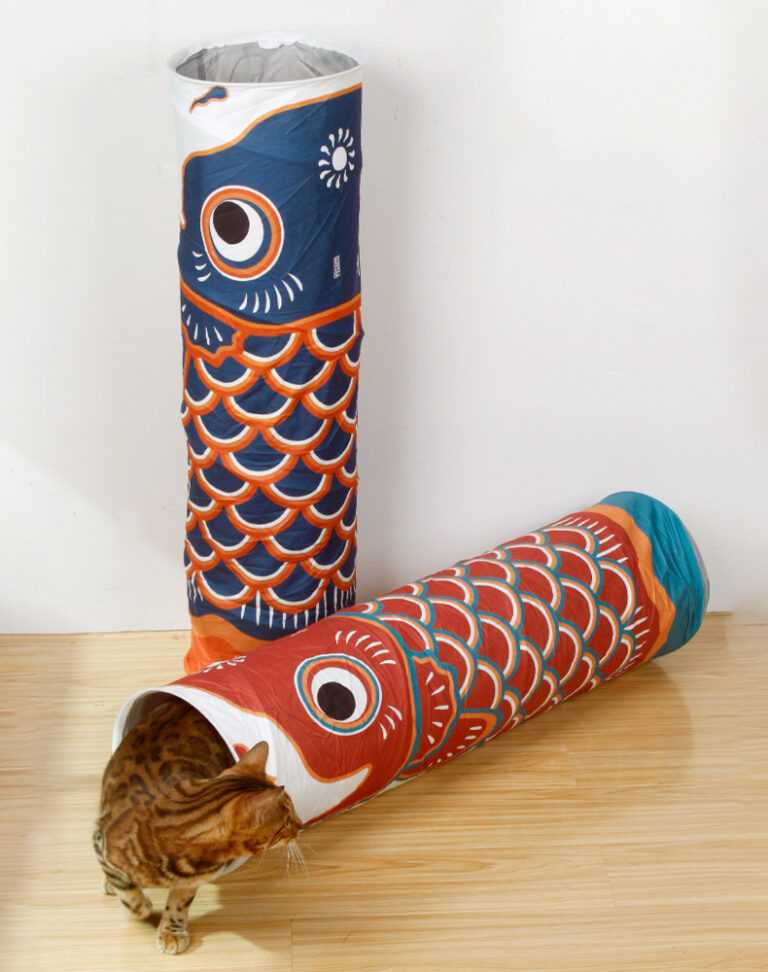 Carp Streamer Cat Tunnel