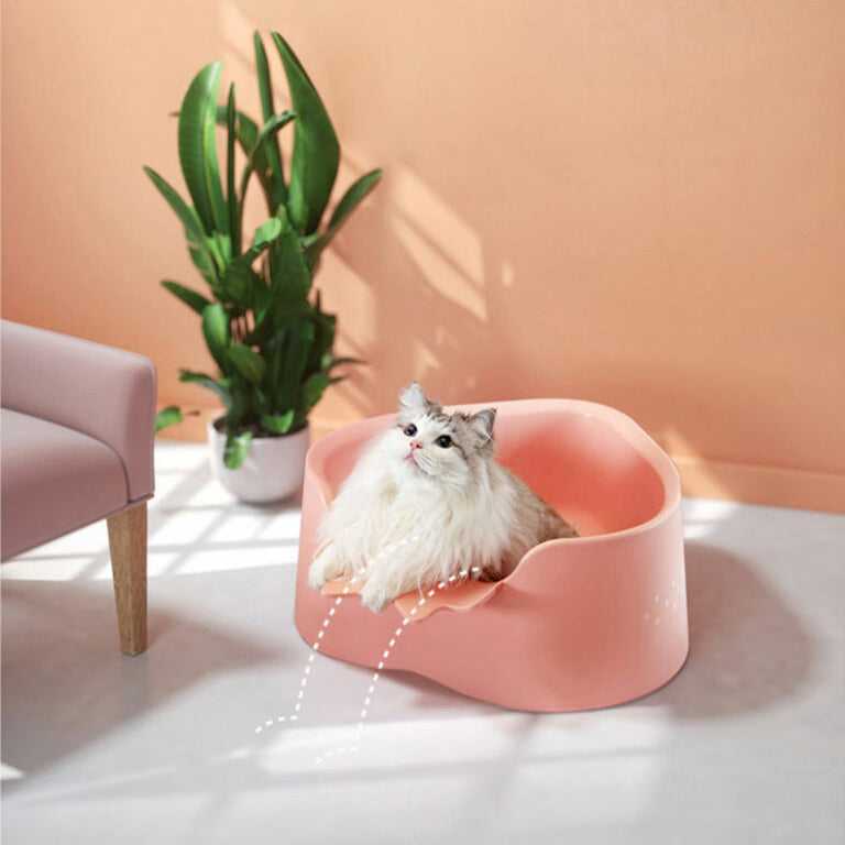Strawberry Fat Cat Litter Box