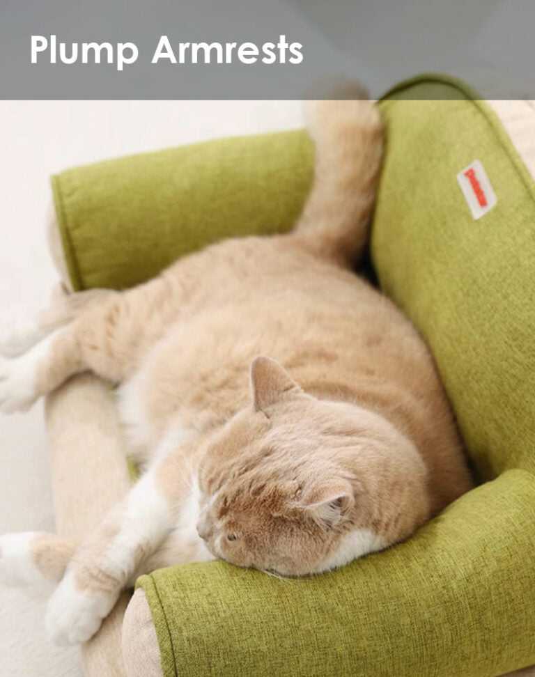 Innovative Mini Cat Couch - Cat Bed