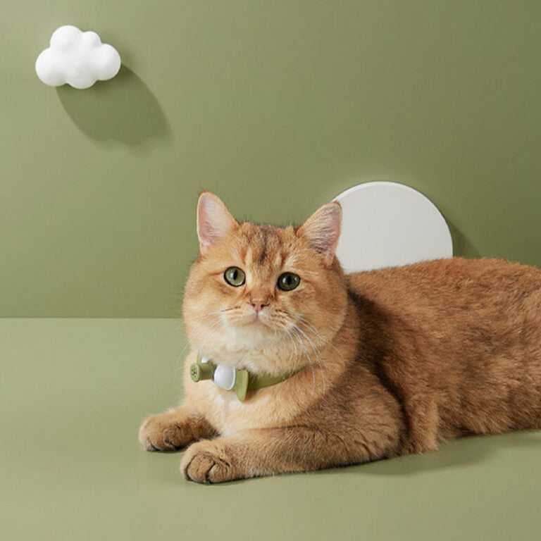 Candy Cat Laser Collar