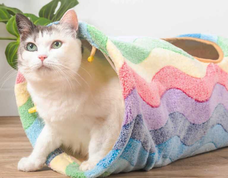 Rainbow Stripes Cat Tunnel
