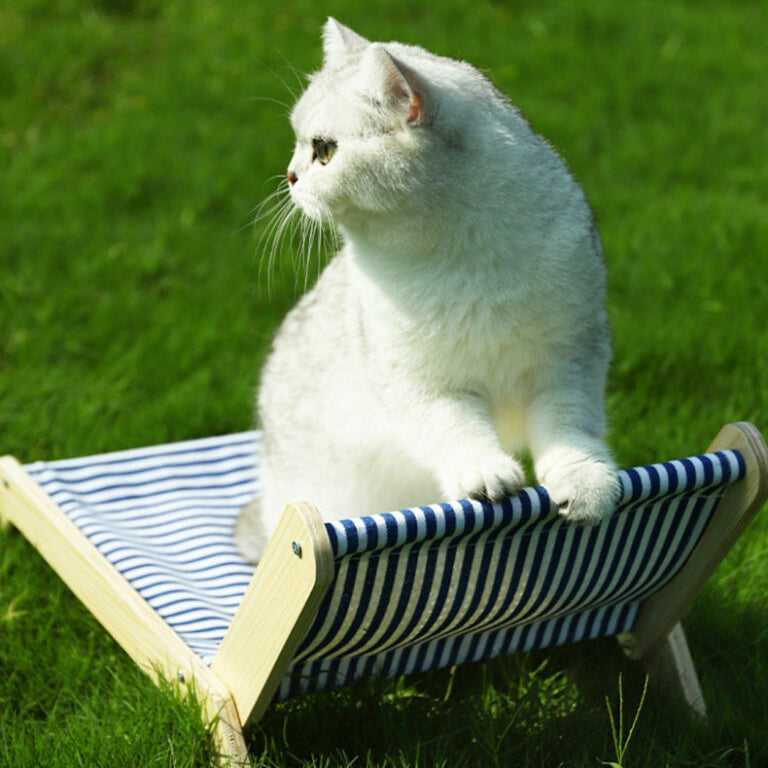 Coconut Tree Cat Scratching Post & Cat Recliner
