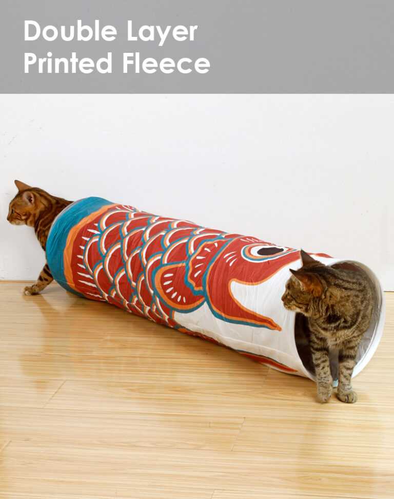 Carp Streamer Cat Tunnel