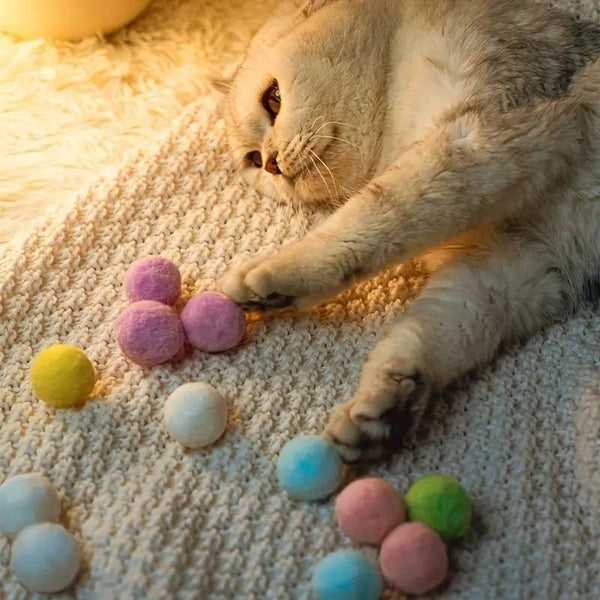 Rainbow Ball Launcher Toy for Cats.