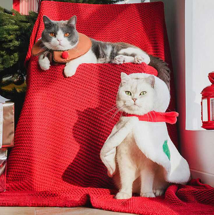 Gift Set Cat Christmas Costumes featuring two cats in festive snowman and reindeer outfits on red blanket near Christmas tree.