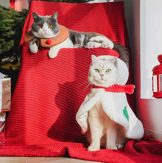 Gift Set Cat Christmas Costumes featuring two cats in festive snowman and reindeer outfits on red blanket near Christmas tree.