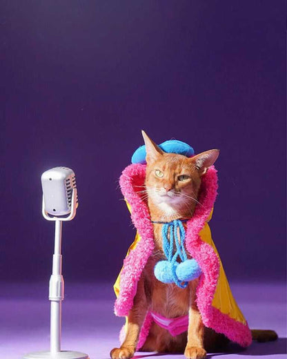Superstar Cat Capes