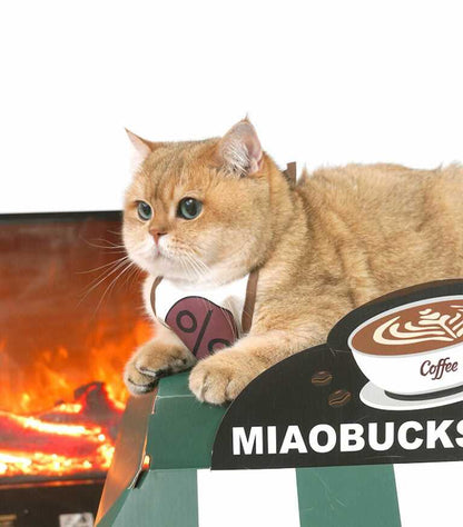 Cafe Cardboard Cat House