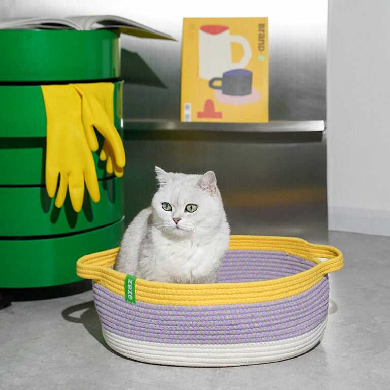 Woven Cat Bed