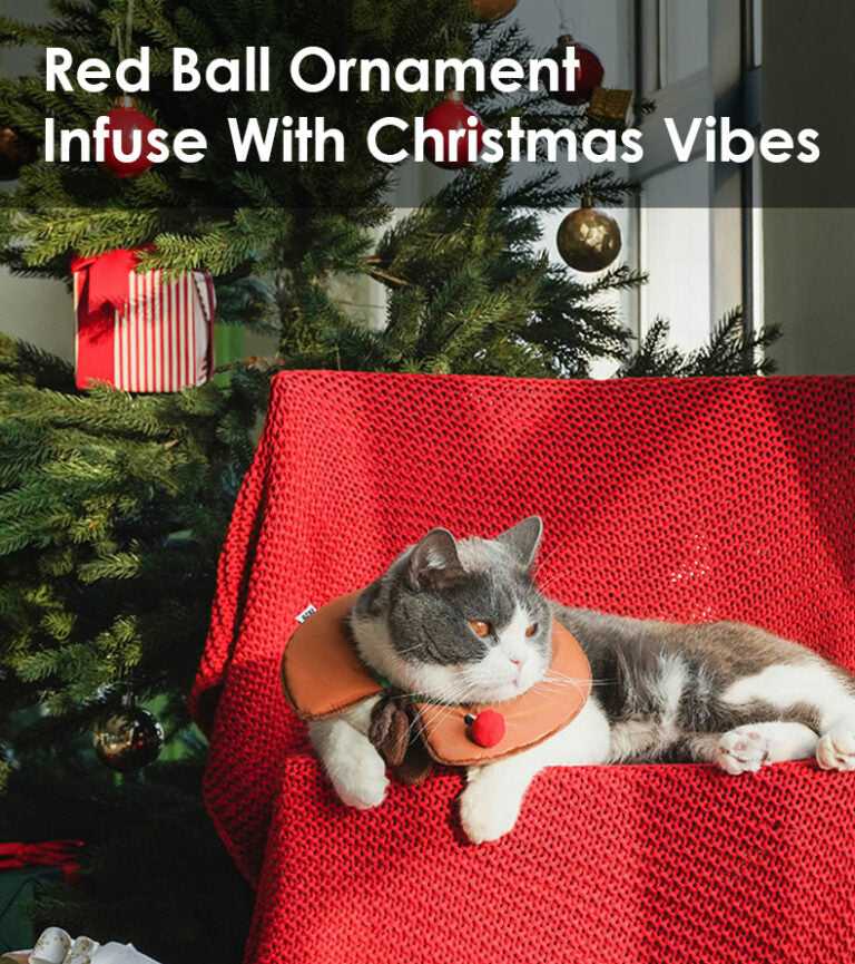 Gray and white cat in reindeer collar from Gift Set Cat Christmas Costumes, sitting on red blanket with Christmas tree in background.