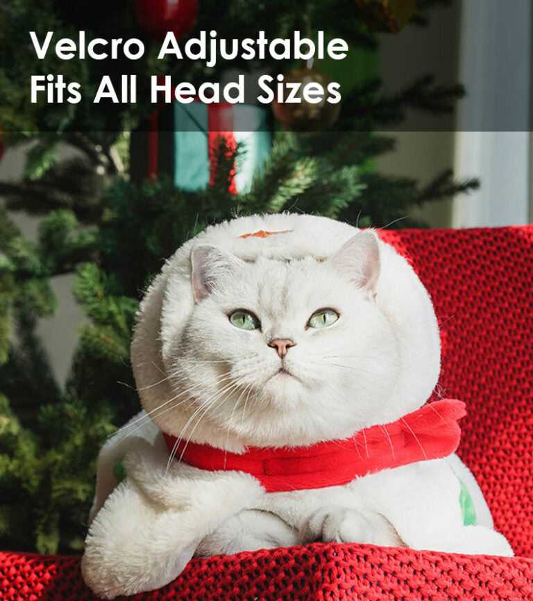 White cat in snowman costume with adjustable Velcro hood from Gift Set Cat Christmas Costumes, sitting on red chair by tree.
