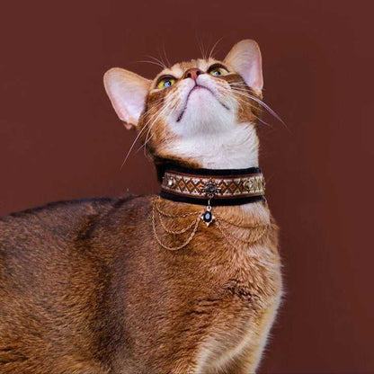 Noble Velvet Black Cat Collar