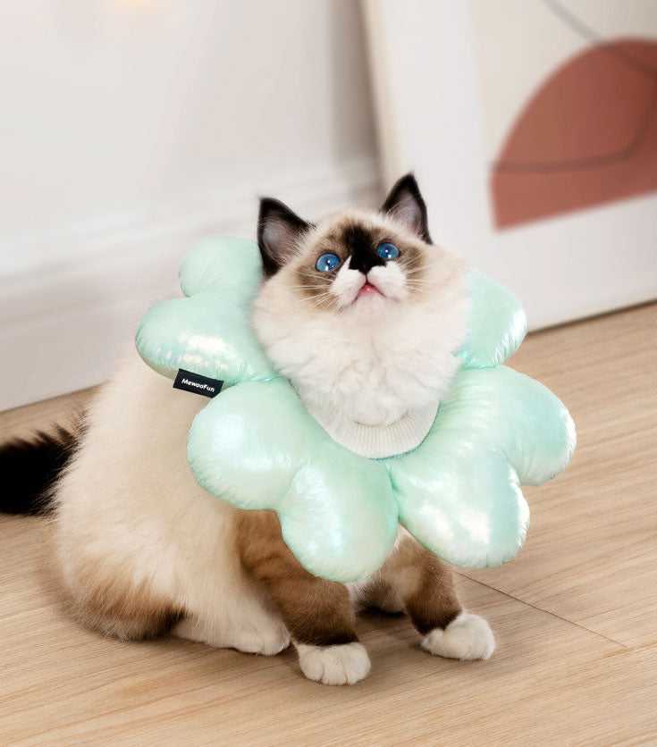 Laser Waterproof Cat Cone