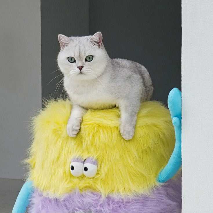 Cat sitting on top of the Little Monster Stool Cat Bed, highlighting its sturdy build and fun monster-themed design.