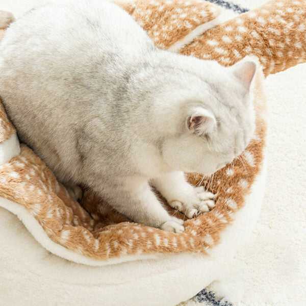 Cat kneading the soft interior of the Sparrow Cat Bed. Plush and comforting surface designed for feline relaxation.
