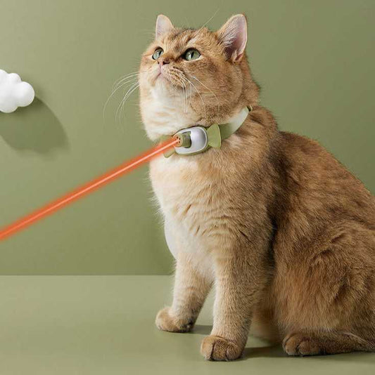 Candy Cat Laser Collar