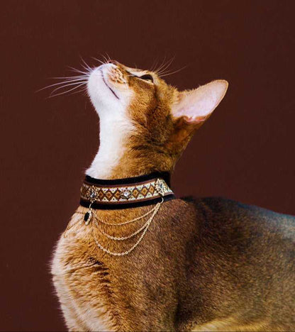 Noble Velvet Black Cat Collar