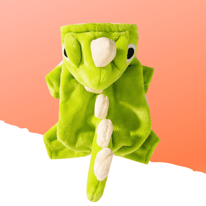Pet dinosaur costume.