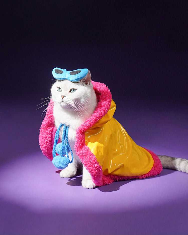 Superstar Cat Capes