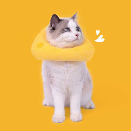 Cheese Cat Cone