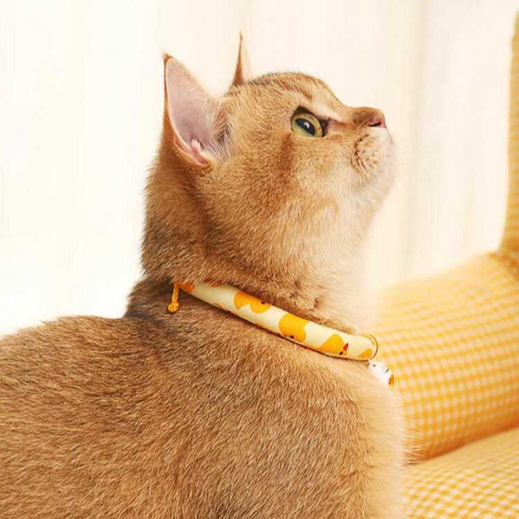 Duck Yellow Cat Collar