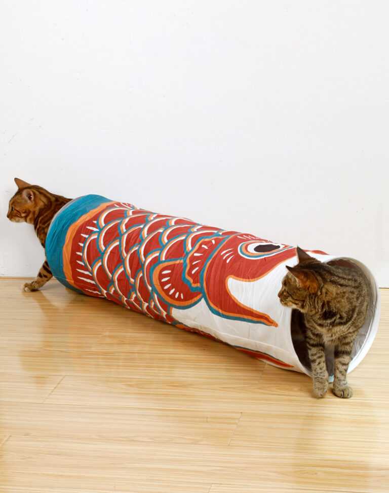Carp Streamer Cat Tunnel