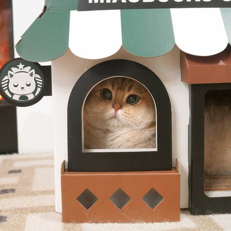 Cafe Cardboard Cat House