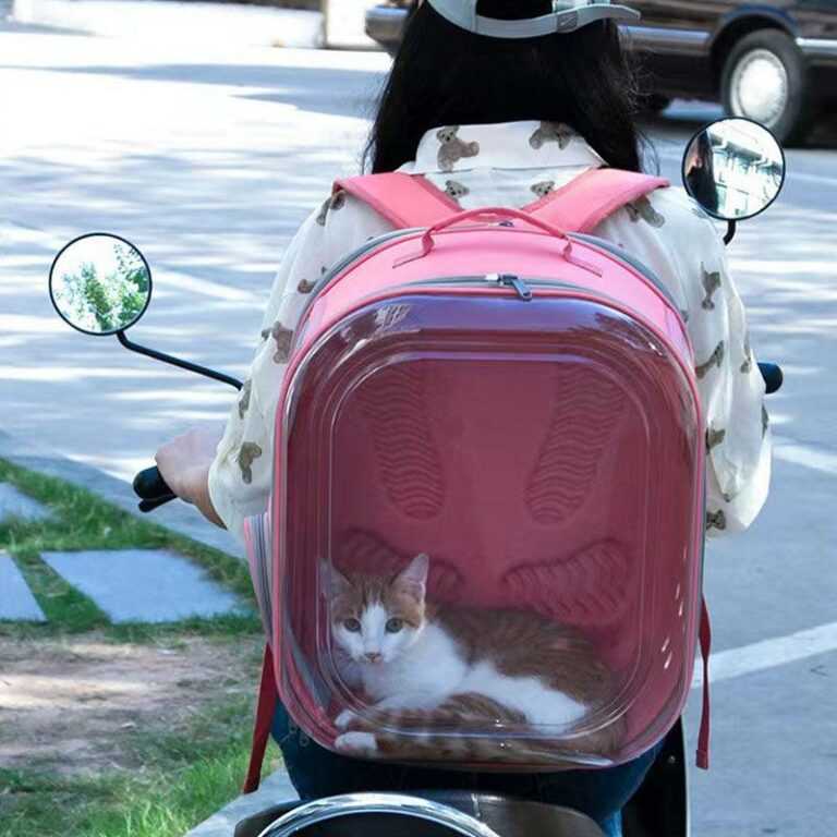 Square Clear Cat Carrier