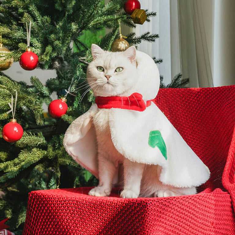 White cat in snowman outfit with red scarf and green mittens from Gift Set Cat Christmas Costumes, sitting by Christmas tree.