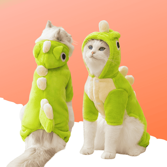 Pet dinosaur costume.