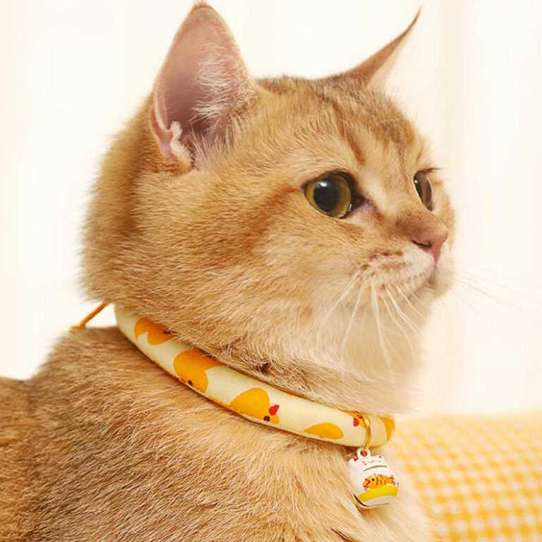 Duck Yellow Cat Collar