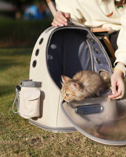 Frosted Semi-Transparent Cat Spaceship Backpack