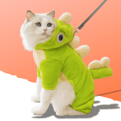 Pet dinosaur costume.