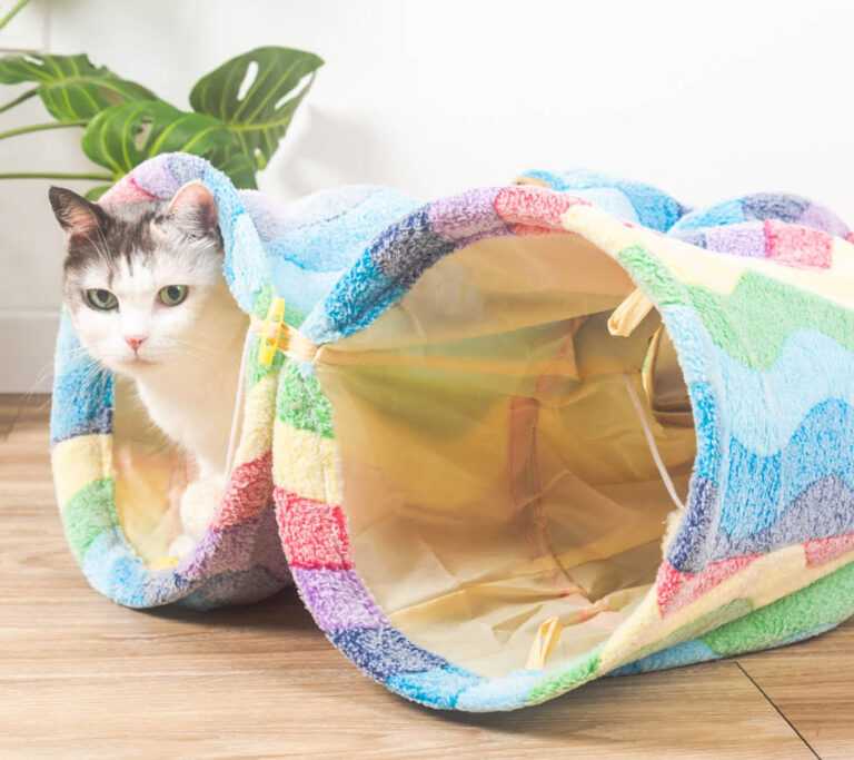 Rainbow Stripes Cat Tunnel
