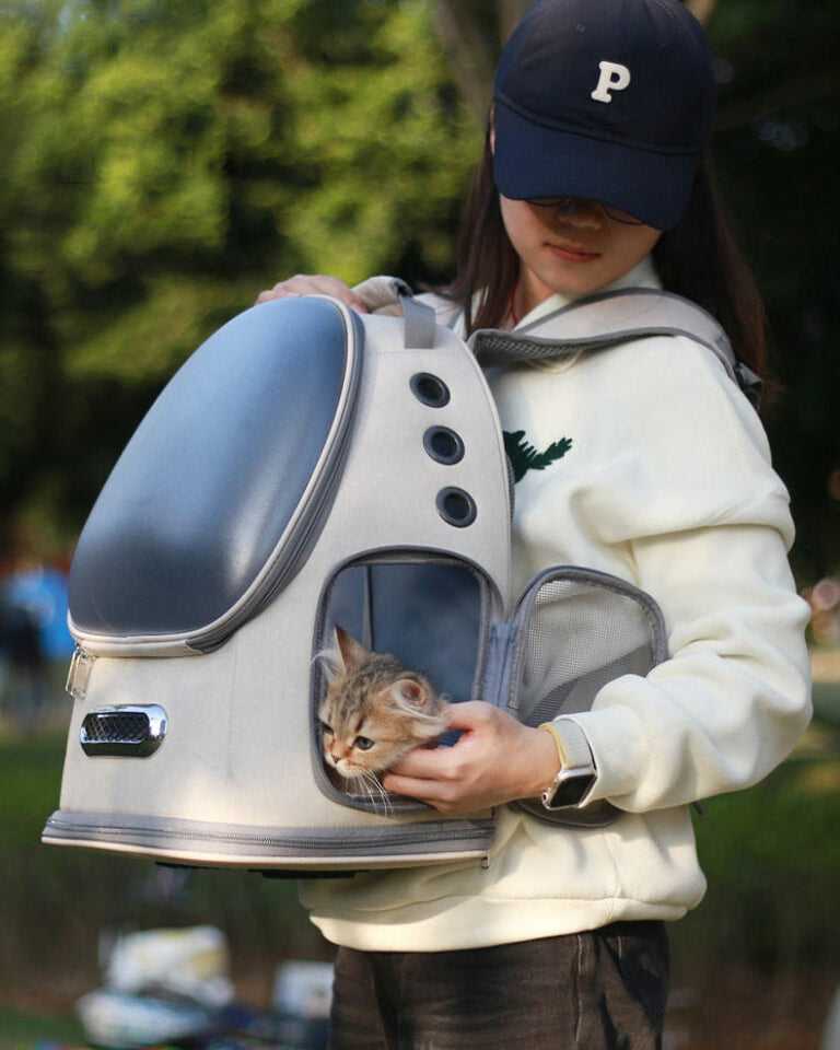 Frosted Semi-Transparent Cat Spaceship Backpack