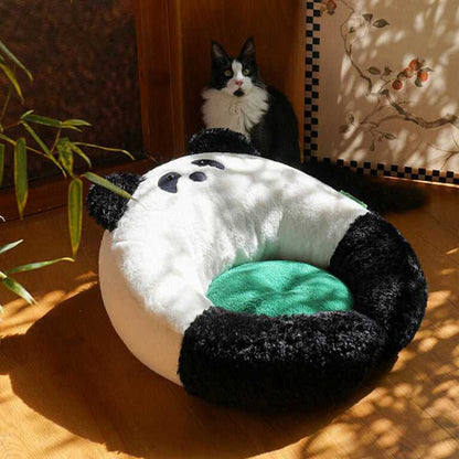 Panda Hug Cat Bed in sunlight with a black and white cat nearby, highlighting its soft panda design and inviting green cushion.