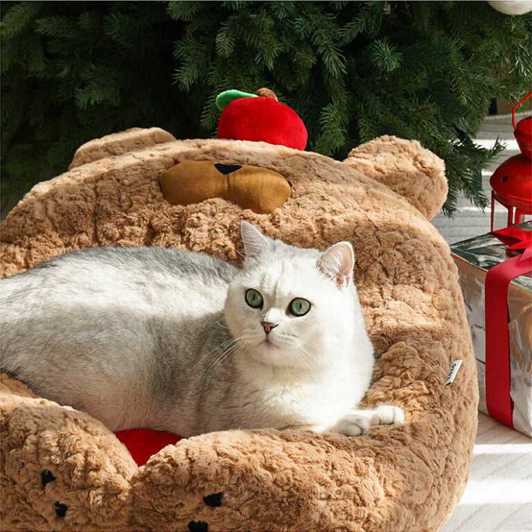 Gray cat resting in Apple Bear Hug Cat Bed, featuring soft bear-shaped structure and festive apple accent.
