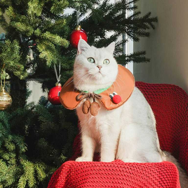 Cat dressed in reindeer-themed collar with plush antlers and red nose from Gift Set Cat Christmas Costumes, near decorated tree.