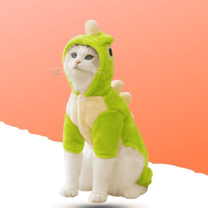 Pet dinosaur costume.