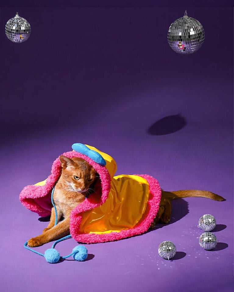 Superstar Cat Capes