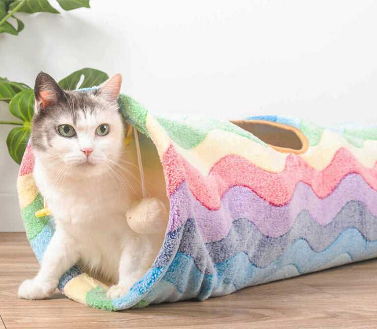 Rainbow Stripes Cat Tunnel