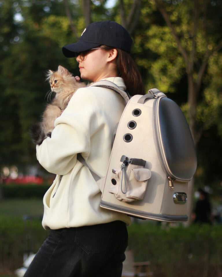 Frosted Semi-Transparent Cat Spaceship Backpack