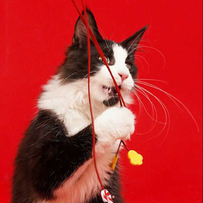 Christmas Snowman Catnip Cat Wand Toy
