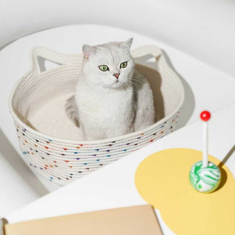 Woven Cat Bed