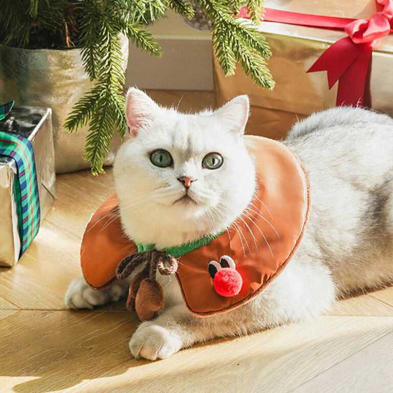 Cat wearing reindeer collar with festive red nose and brown antlers from Gift Set Cat Christmas Costumes, lying near presents.