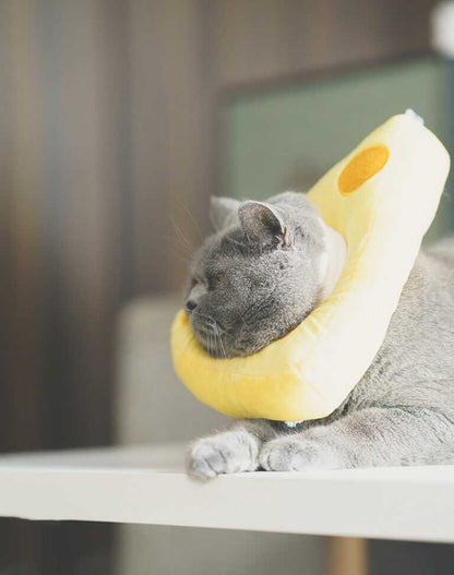 Cheese Cat Cone