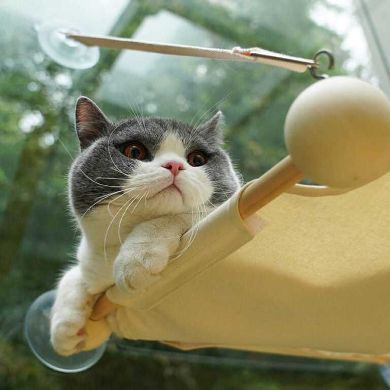 Wood Window Cat Hammock
