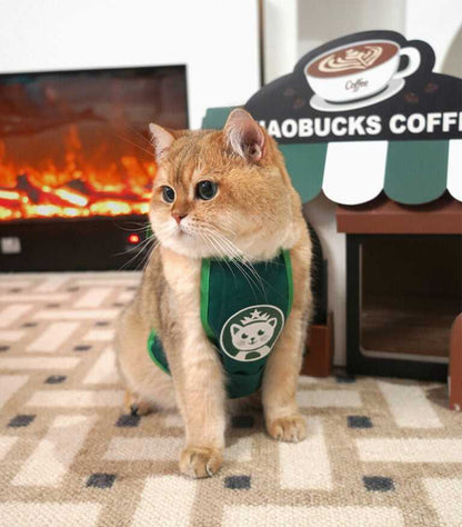 Cafe Cardboard Cat House